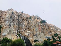 -西霞口神雕山野生动物世界