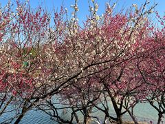 -白塘生态植物园