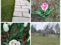 -长春公园(普阳街道)