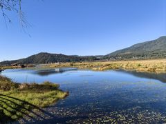 -腾冲北海湿地