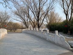 -莲花池公园
