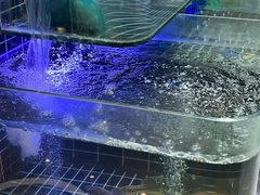 -再回头私房菜·老南京菜