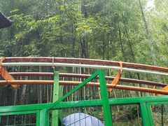 -藏龙百瀑风景区