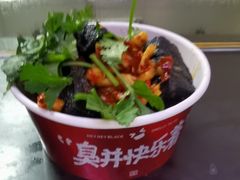 -黑色经典臭豆腐·湖南特产(坡子街店)