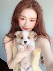 -P.STYLE派斯造型