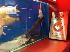-鱼上·烤鱼(万象城店)