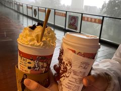 -茶颜悦色(岳麓山顶店)