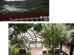 -重庆彩云湖湿地公园