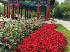 -西海子公园