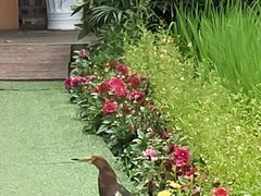 -洪湖家庭农场·团建·露营·会议