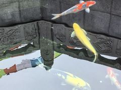 -西安市广仁寺