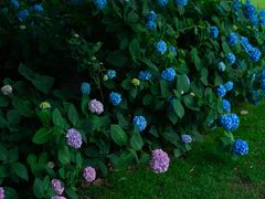 -常州古运河南大街文化旅游区-人民公园