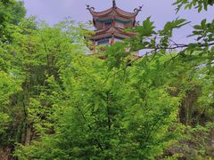 -凤池园