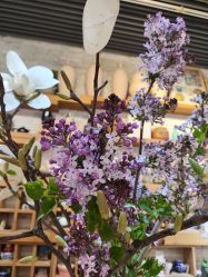 -今日陶艺(富力广场店)