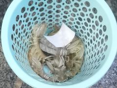 -阿浪海鲜连锁•海鲜加工•老字号(第一市场店)