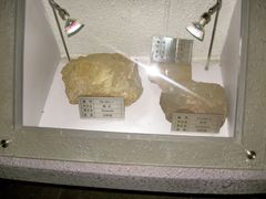 -金钉子远古世界景区