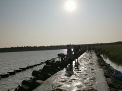 -碧海金沙