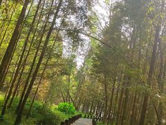 -桤木河湿地公园