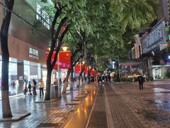 -南屏步行街