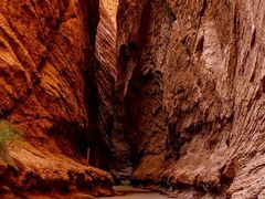 -天山神秘大峡谷