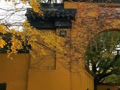 -西园戒幢律寺