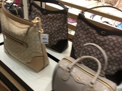 -COACH蔻驰(赛特奥特莱斯店)