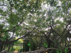 -台山颐和温泉城