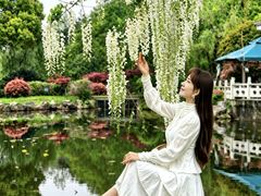 -龙寺生态园
