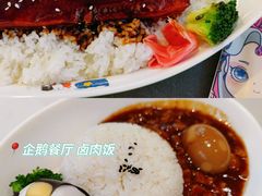 -上海海昌海洋公园