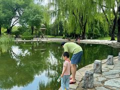 -玲珑塔公园