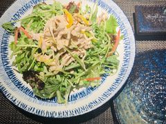 芝麻水菜蒸鸡沙拉-甲丁酒肆·精酿·碳烤烧鸟