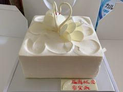 纯爱-BLACKSWAN黑天鹅(环球店)
