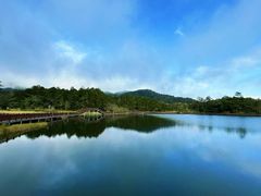 -海南热带雨林国家公园吊罗山景区