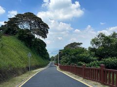 -黄埔油麻山森林公园