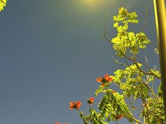 -荔枝公园(福田区)