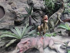 -国家自然博物馆