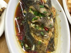 葱油石斑鱼-008海鲜排档(朱家尖2号店)