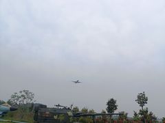 -空港花田景区