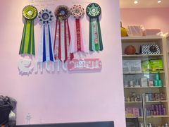 -爪爪喵星球·猫舍(前海卓越店)