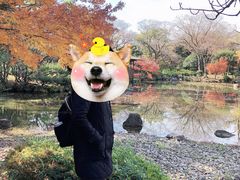 -天王寺公园