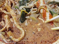 -高福麻辣烫(新阳店)