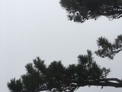 -庐山风景区花径公园
