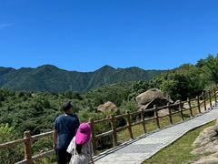 -白水寺森林公园