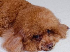 -富邦华一银行(新天地支行)