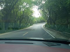 -铁山坪森林公园