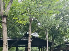 -盘龙城国家考古遗址公园