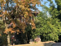 -九曲溪竹筏码头