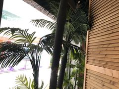 -春润大地海南椰子鸡(沙井京基百纳广场店)