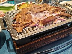 -大队长大灶鹅