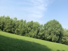 -长白岛森林公园